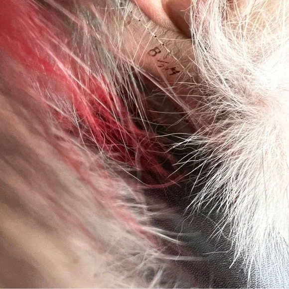 Stuart Weitzman Sublime Flat Fox Fur Leather Slide Sandal Carnival Furmania 8.5 - Picture 10 of 15